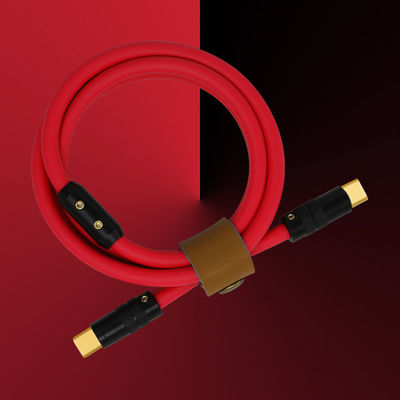 o tipo paládio 100W de 6mm O.D USB 3,1 do cabo da carga de C que carrega para portáteis marca telefones espertos