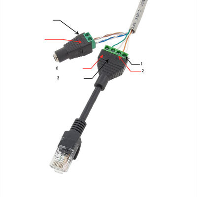 Tomada fêmea da alimentação de DC de Jack da rede do cabo RJ45 do ponto de entrada ao adaptador dos terminais de parafuso para a câmera do monitor